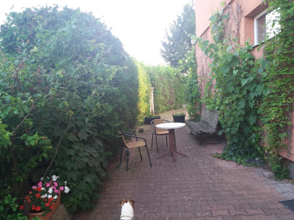 Apartmán Na Skále Kostelec nad Orlicí Exteriér fotografie
